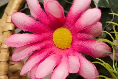 Red artificial flower Stock Photos