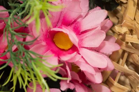 Red artificial flower Stock Photos