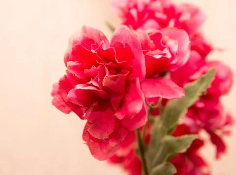 Red artificial flowers Stock Photos
