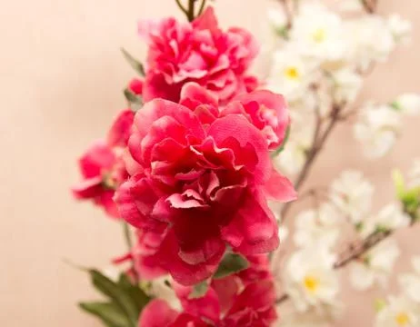 Red artificial flowers Stock Photos