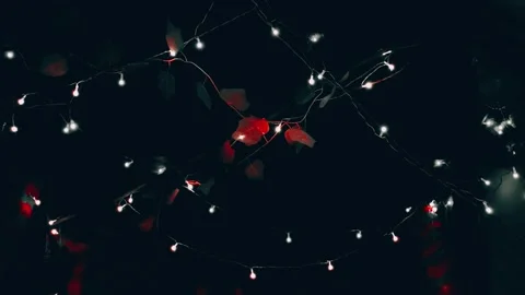 Red artificial foliage intertwined with delicate strands of cold white LED strin Stock-Footage 345971829