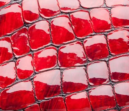 Red artificial leather Foto stock