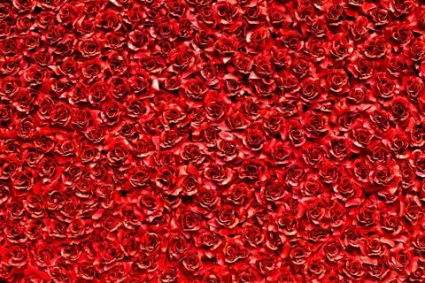 Red artificial rose background Stock Photos
