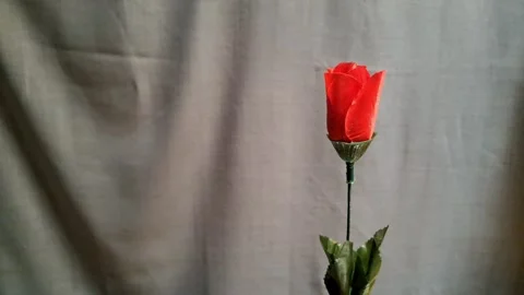 Red artificial rose Stock Footage 341232906