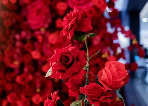 Red artificial roses Stock Photos
