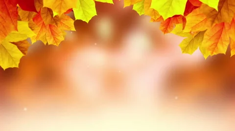 Red Autumn background-HD Stock Footage 41391257