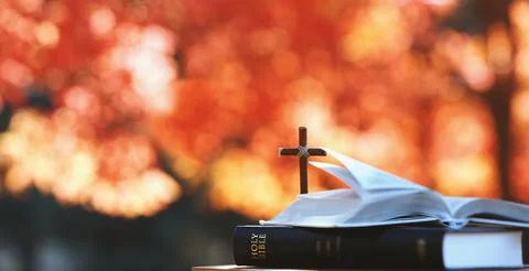 Red autumn forest maple trees and holy cross of Jesus Christ and bible book Stock Photos