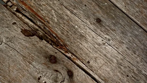 Red autumn leaf 스톡 동영상 84712220