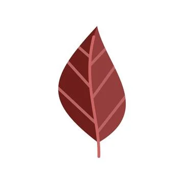 Red autumn leaf graphic vector illustration design Illustration