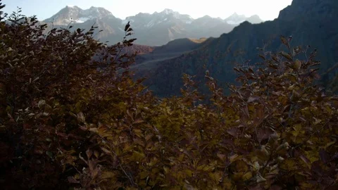 Red autumn leaves in the wind on background of high mountains Vídeos de archivo 70759268