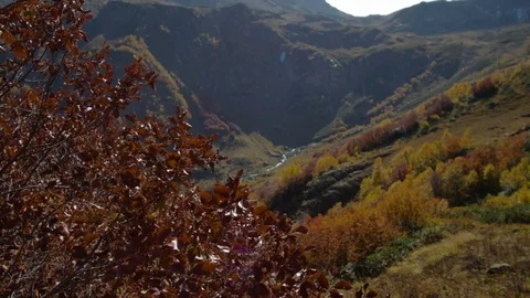 Red autumn leaves in the wind on background of high mountains Stock Footage 70760061