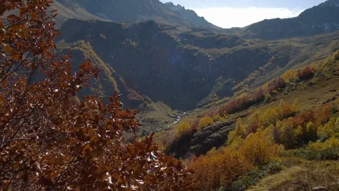 Red autumn leaves in the wind on background of high mountains Stock Footage 70762740