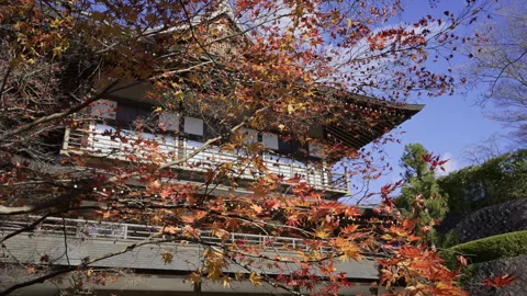 Red Autumn Maple Branches Framing Imakumano Kannonji Temple in Kyoto Stock Footage 348631615