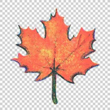 Red autumn maple leaf risograph illustration Stock Illustration