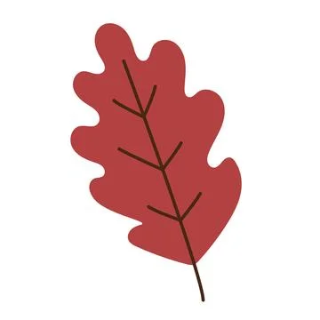 Red autumn oak leaf isolated on white background, simple seasonal botanical.. Stock Illustration