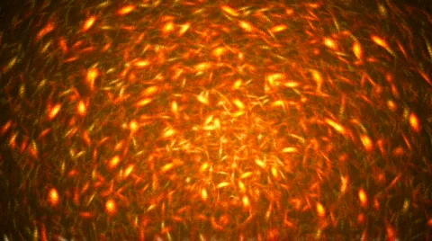 Red background Stock Footage 360286