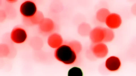 Red background Stock Footage 118079869