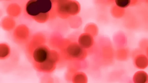 Red background Stock Footage 118079887