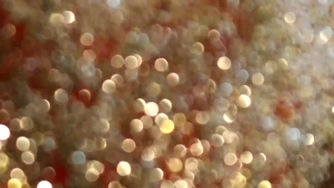 Red background Stock Footage 118143773