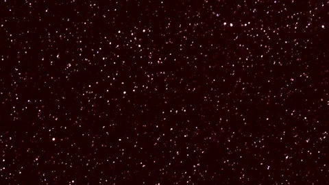 Red background Stock Footage 118246870