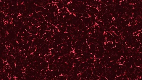 Red background with retro noise effect. Animation. Background with interference Stock Footage 155325458