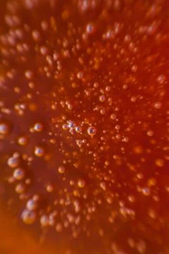 Red background, texture with bubbles in some liquid. Stock Photos