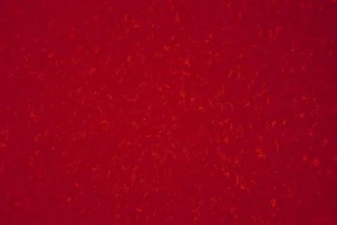 Red background for Valentine's Day Stock Illustration