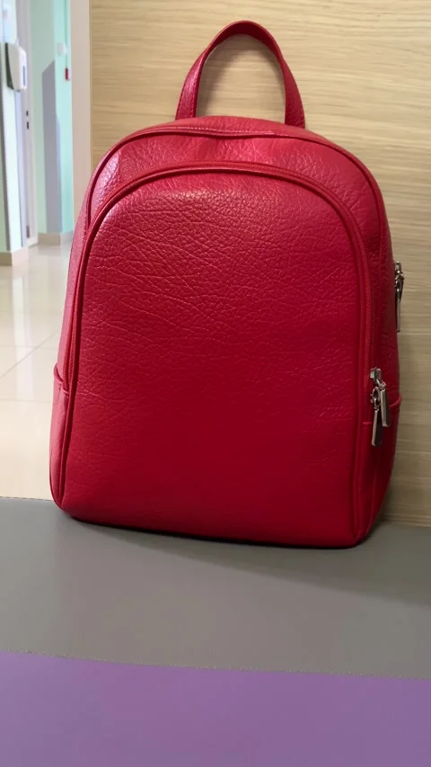 Red Backpack. Vertical video Stock Footage 281346668