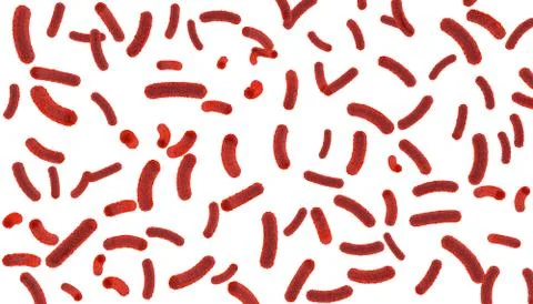 Red bacteria inside the body on a white isolated background Stock Illustration