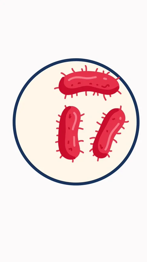 Red bacteria under microscope in a laboratory sample 動画素材 336175579