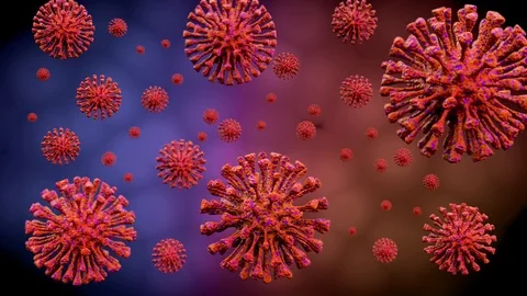 Red bacteria virus or germs microorganism cells rotating and moving 스톡 동영상 127496184