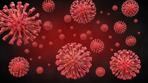 Red bacteria virus or germs microorganism cells rotating and moving 動画素材 127502411