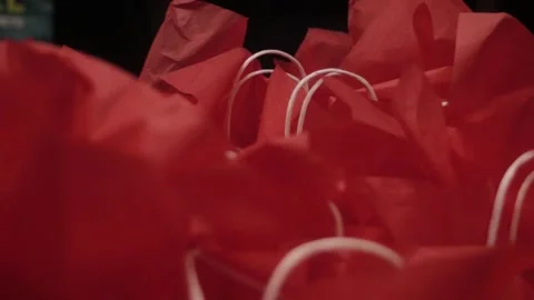 Red Bags Stock Footage 219518288