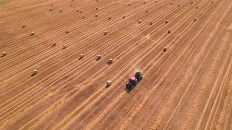 Red bale machine collect straw in the field and make large bales. Agricultural Stock Footage 165452528