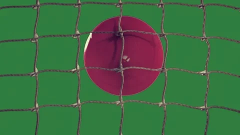 A red ball sitting on top of and soccer in net stuck into fence with the Stock Footage 336948891