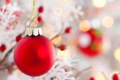 Red  ball with snowflake hanging on tree. Stock Photos