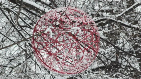 Red ball on a tree Stock Footage 97995869