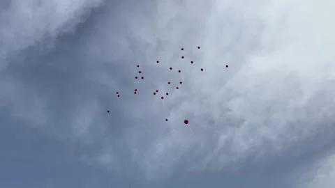 Red balloons released into the air Stock Footage 213662752