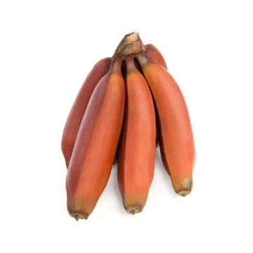 Red bananas. Stock Photos