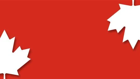 Red banner background with white maple leaves representing Canadian culture.. 库存插图