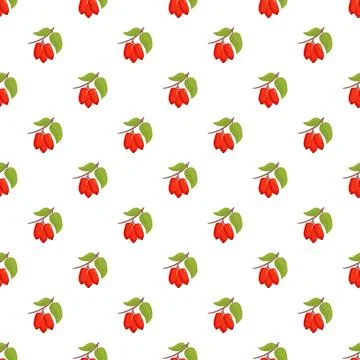 Red barberry fruit seamless pattern background illustration Illustrazione stock