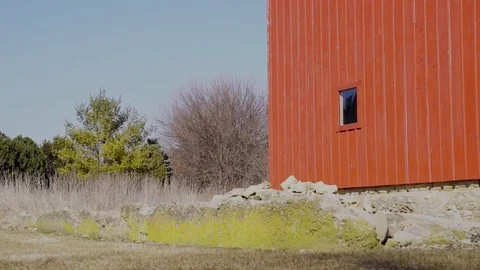 Red Bard 스톡 동영상 86491293