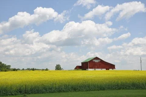 Red barn and fields-Canada 스톡 사진