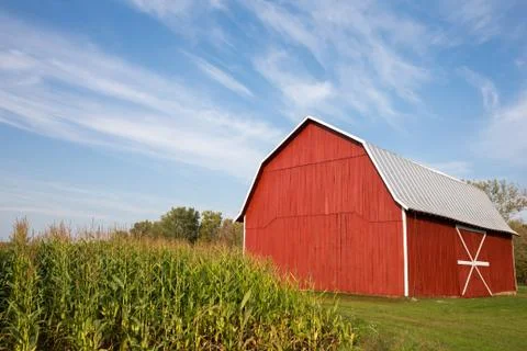 Red Barn with Corn and Dramatic Sky Stock Photos