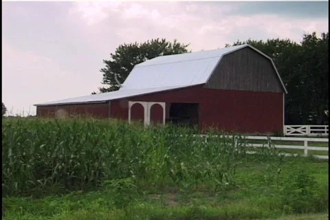 Red Barn in Cornfield 1 Stock-Footage 298252