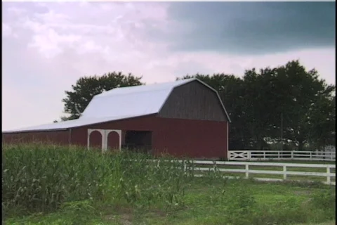 Red Barn in Cornfield 2 Stock Footage