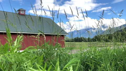 Red barn in the country Stock Footage 146988624