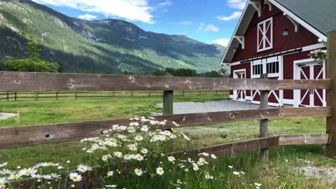 Red barn in the country Stock Footage 146988960
