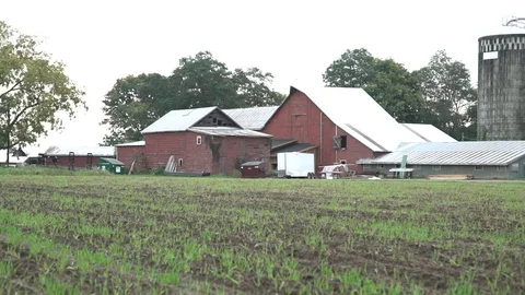 Red Barn Farm Видео 96402030