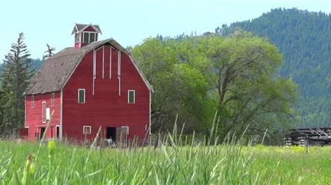 Red Barn in Field Stock Footage